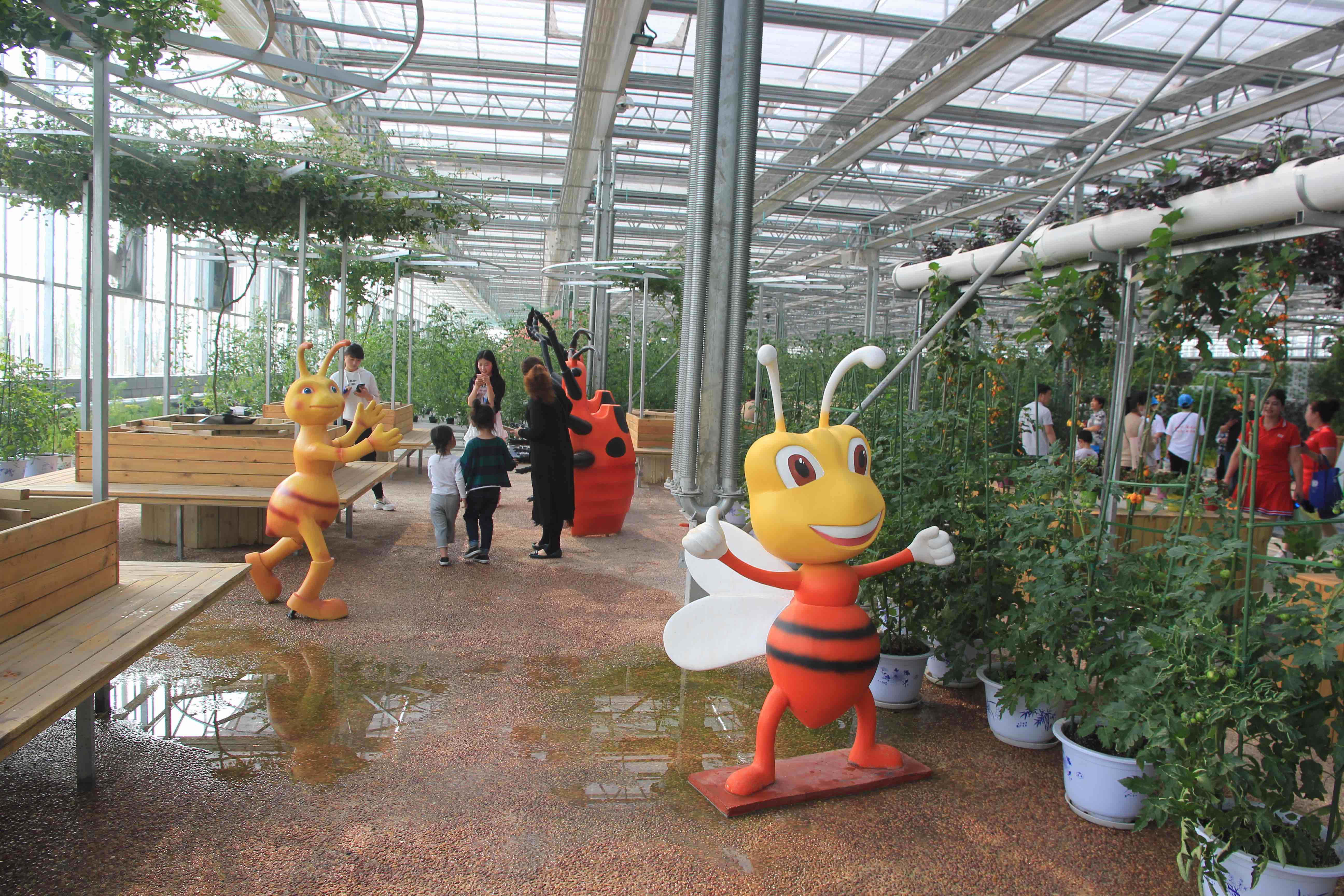 ����䓵���С֪�R